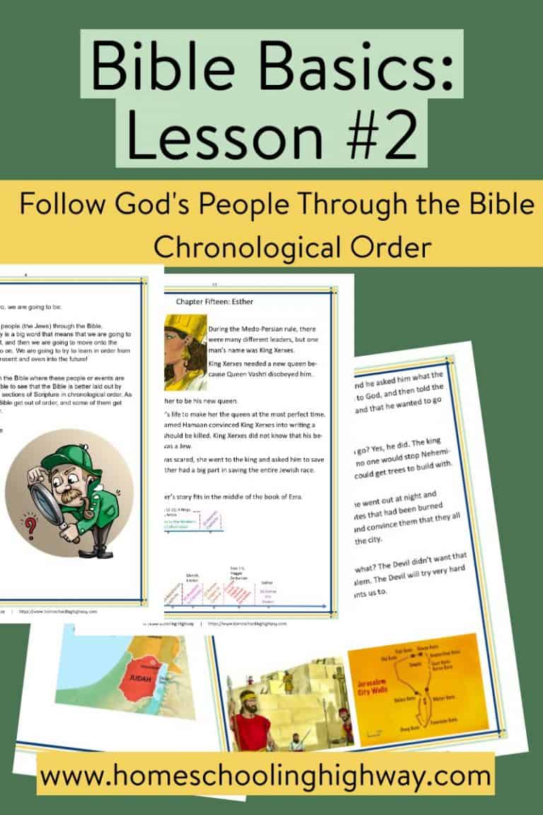 Bible Basics: Follow God's People Through the Bible in Chronological ...