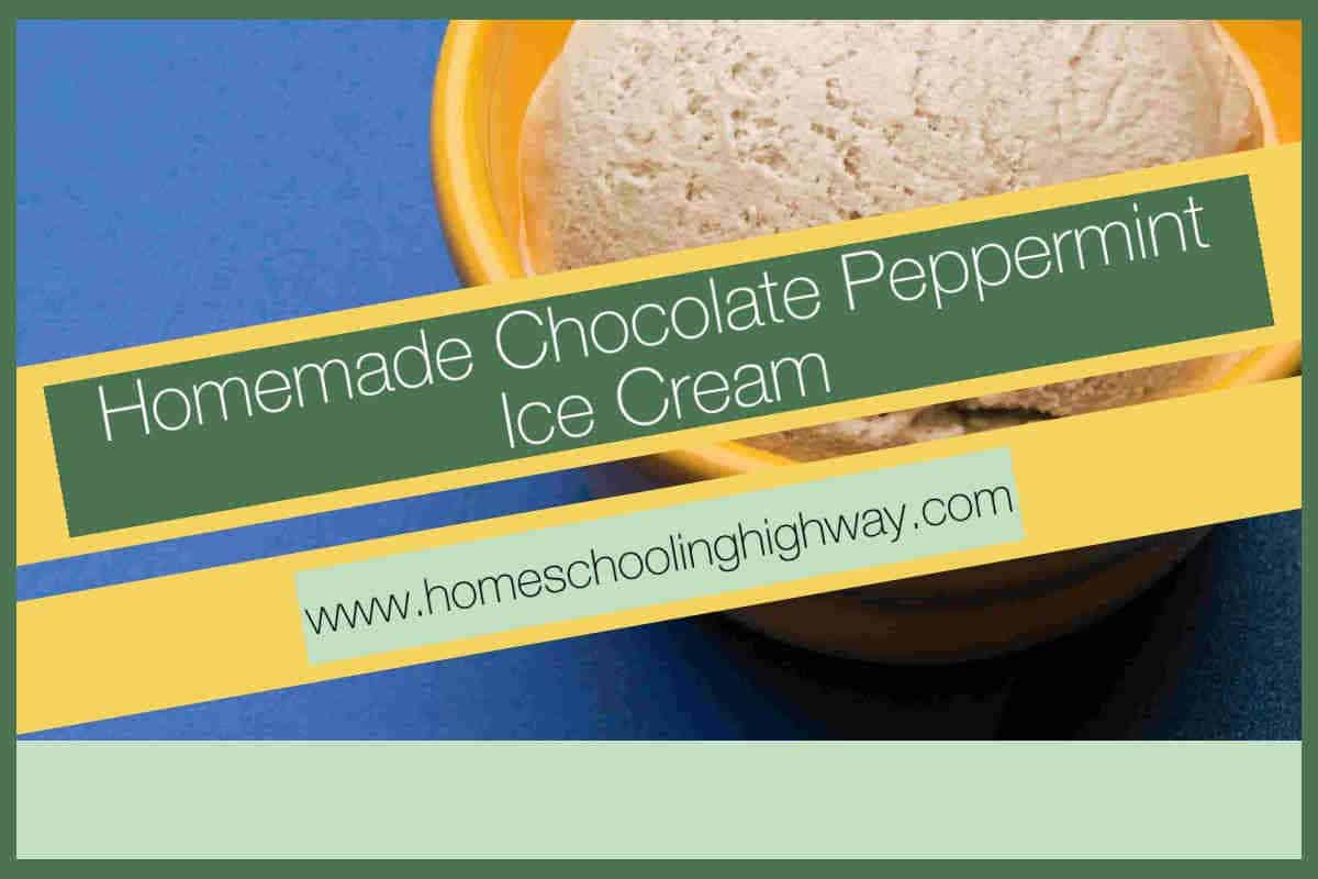 Homemade chocolate peppermint ice cream