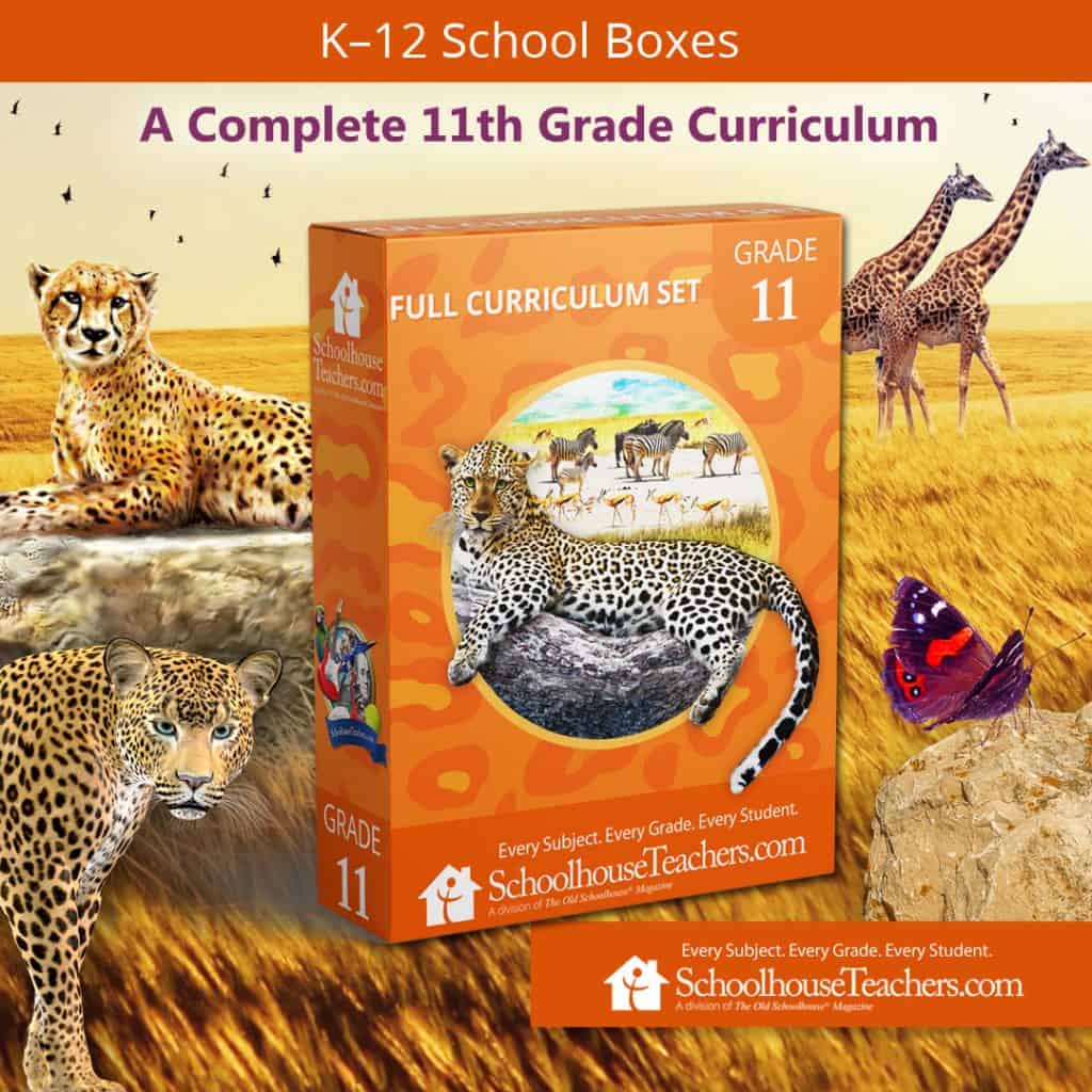 SchoolhouseTeachers.com Eleventh grade curriculum school box cover image