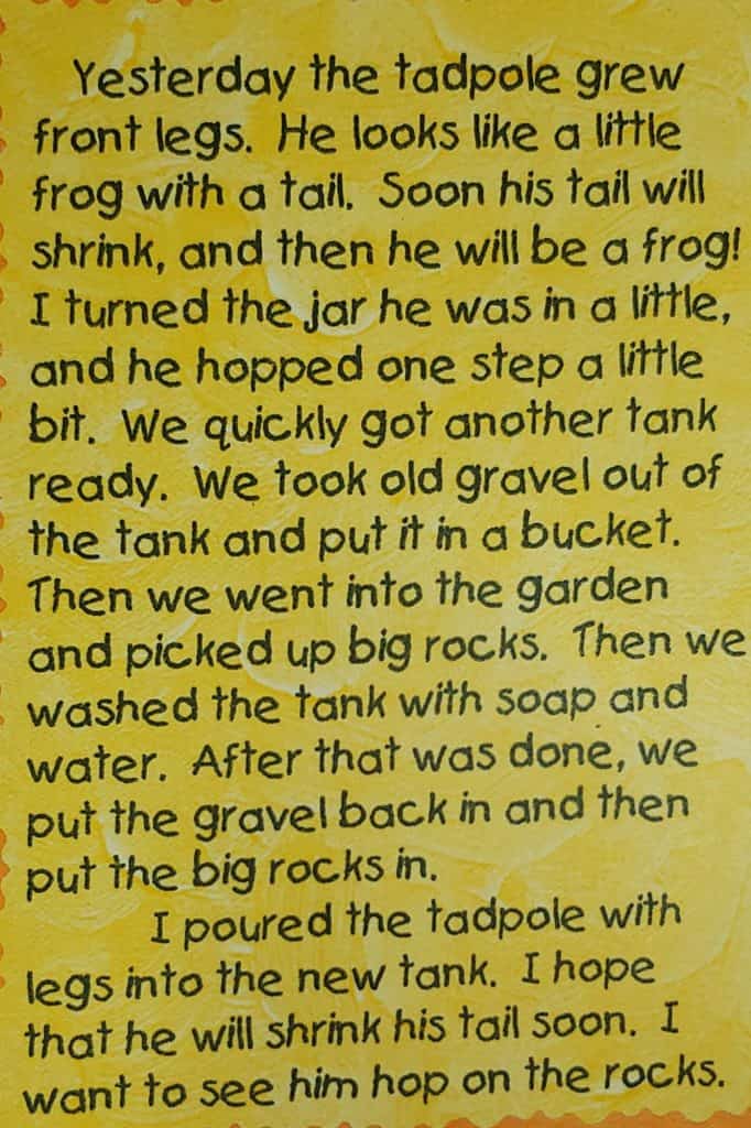 Homeschool tips from A to Z. The letter T is for Tadpoles.
