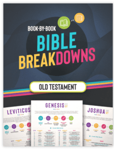 Bible Breakdowns: A Biblical Product Review