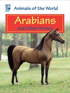 Most Popular Book on Arabians from LightSail for Homeschoolers