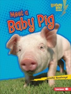 Light Sail for Homeschoolers Most Popular Book on Pigs