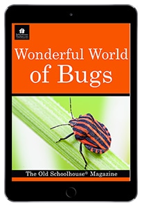 Class cover image for SchoolhouseTeachers.com, Wonderful World of Bugs course.