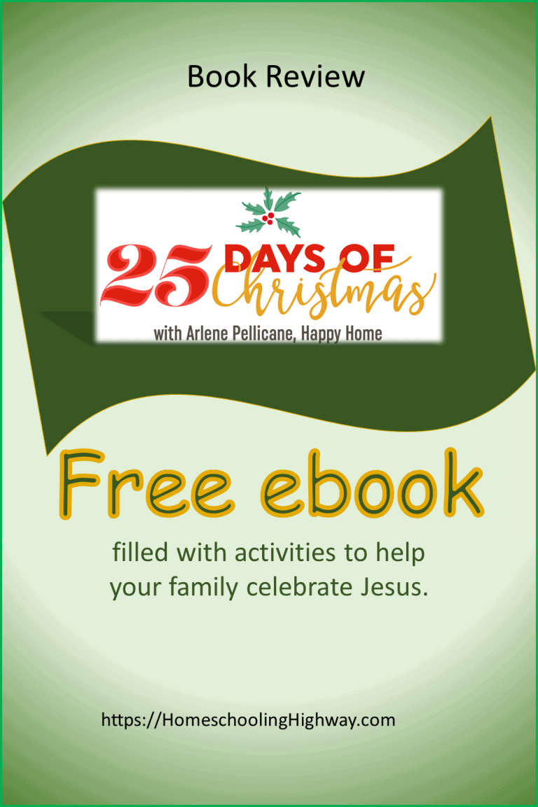25 Days of Christmas (An Ebook Review)