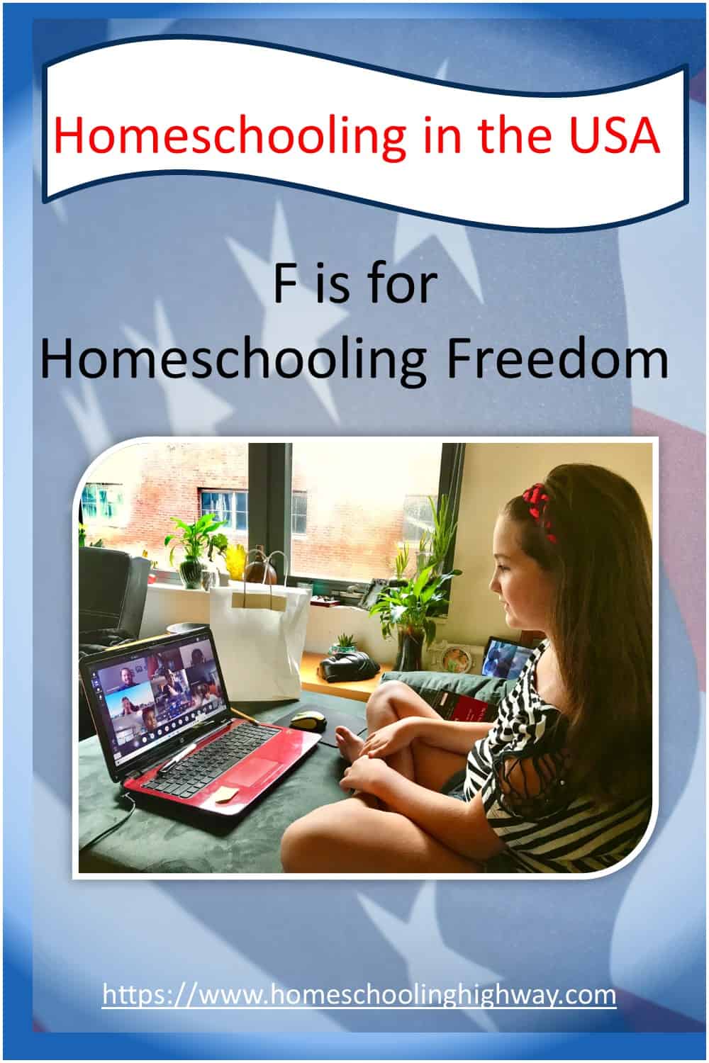 Picture of a girl using the computer, the American flag is in the background.