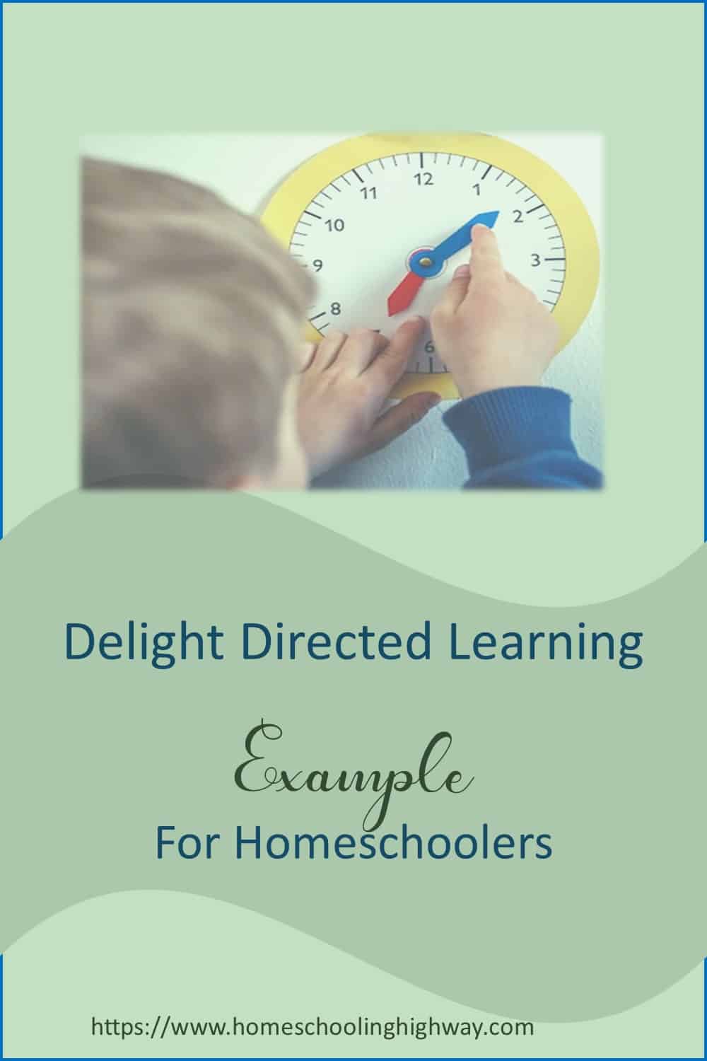 Delight Directed Learning Example from Homeschooling Highway