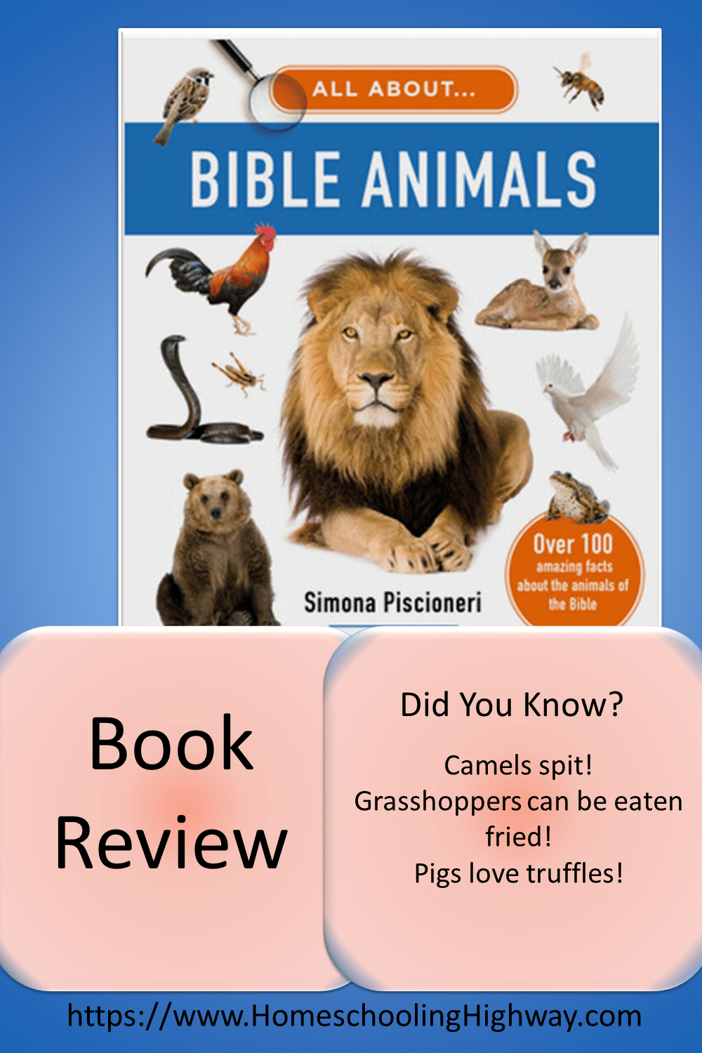 All About Bible Animals. Book reviewed by Homeschooling Highway