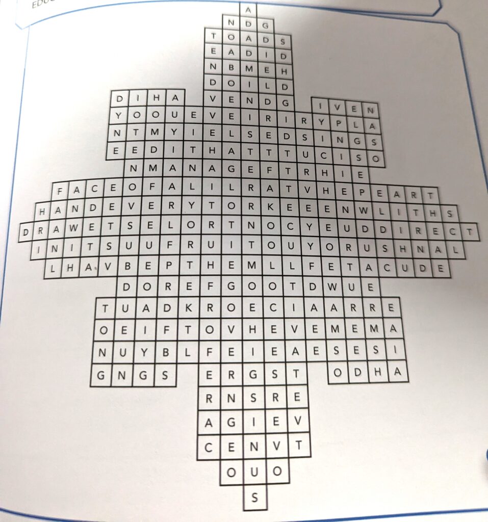 Example puzzle from Danika Cooley's book Bible Investigators: Creation. Book reviewed by HomeschoolingHighway.com