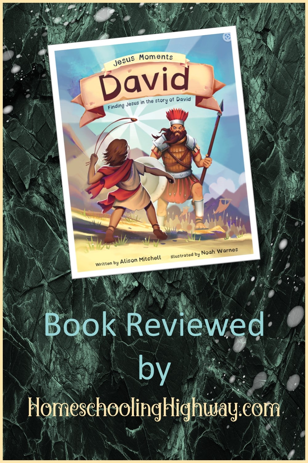 Jesus Moments: David written by Alison Mitchell. Book reviewed by HomeschoolingHighway.com
