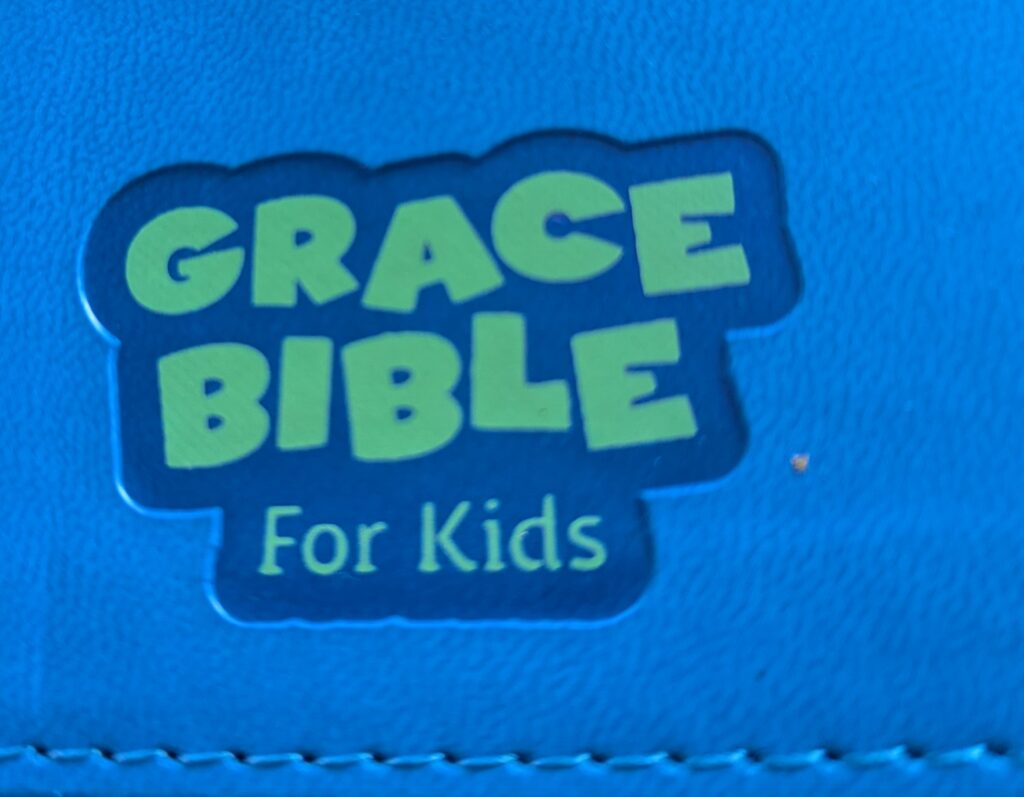 Grace Bible for Kids from Holmann Publishing. Review written by HomeschoolingHighway.com